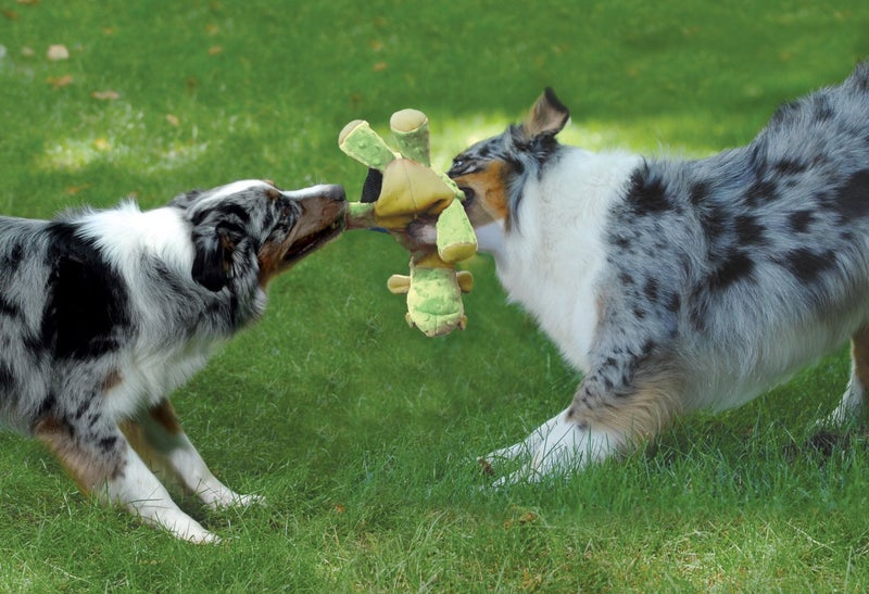 goDog Bubble Plush Dragons Squeaky Dog Toy, Chew Guard Technology - Lime, Large - Image 2